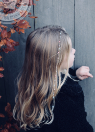 Braid Pearls & HairJewels