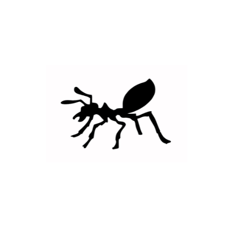 328 Ant set 5 stuks