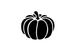 303 Pumpkin set 5 stuks
