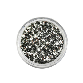 Bio Glitter Silver