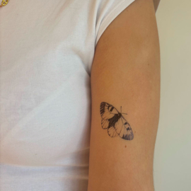 64 Black butterfly