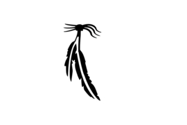 143  2-Feathers set 5 stuks