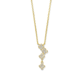 Vergulde ketting met hanger