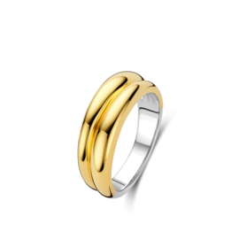 Ring Naiomy Silver | Verguld