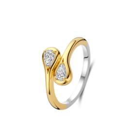 Ring Naiomy Silver/verguld