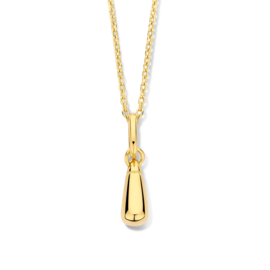 vergulde ketting met hanger