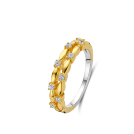 Ring Naiomy Silver/verguld