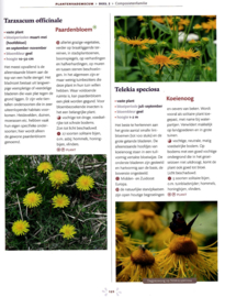 Plantenvademecum voor wilde bijen, vlinders en biodiversiteit in tuinen