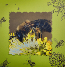 Wilde bijen ansichtkaartset