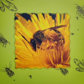 Wilde bijen ansichtkaartset