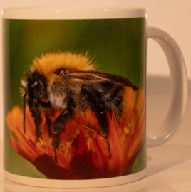 Cadeaupakket bijenmok met thee en theezakjes