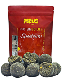 Black mossel 18mm 5kg