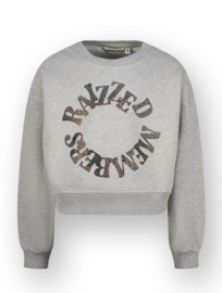 Raizzed sweater Sifra Grey melee