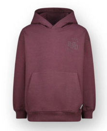 Raizzed - Nai jongens sweater - Plum Red
