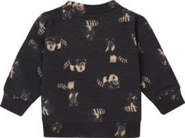 Noppies Boys sweater Grijota