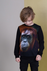 Legends22 sweater Houke