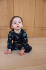 Davy Dino - Premium Sleepwear by Feetje
