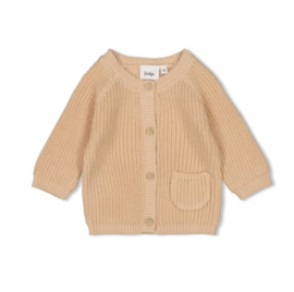 Feetje Vestje gebreid - A-Roarable Zand 51300477