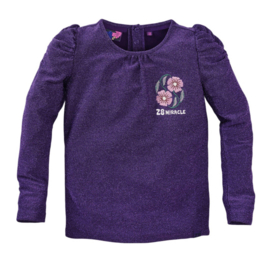 Z8 glitter shirt Liva