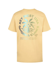 PETROL shirt TSR620