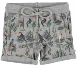 Ducky Beau short Grey melange