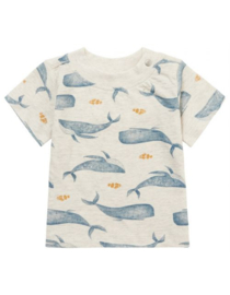 Noppies Baby boys Tee Mullins short sleeve