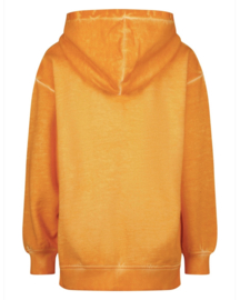 Raizzed hoodie Nevis