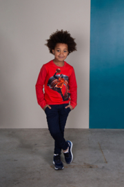 Legends22 sweater Herwin