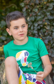 Nais shirt Destan