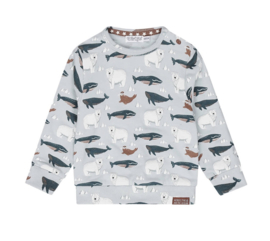 Dirkje  sweater 52572