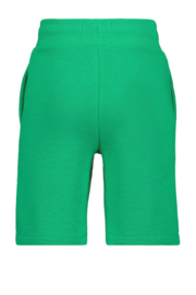 RAIZZED sweat short Brennon Green Sports
