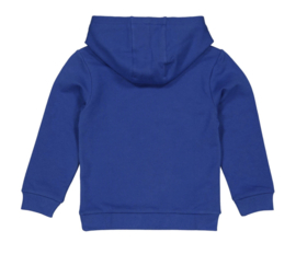 Quapi sweater hoodie Dex