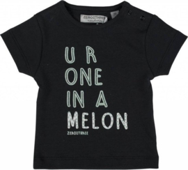 Zero2three shirt one in a melon
