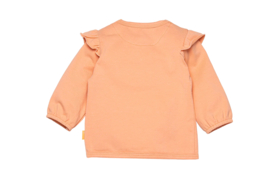 Bess Baby Girl Shirt Ruffles Peach 232091