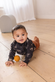 Noppies Boys sweater Grijota