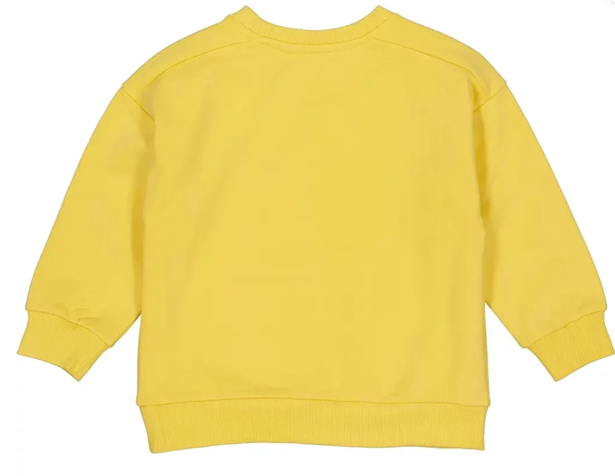LEVV sweater PAVOLL