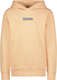 RAIZZED SWEATER NELO