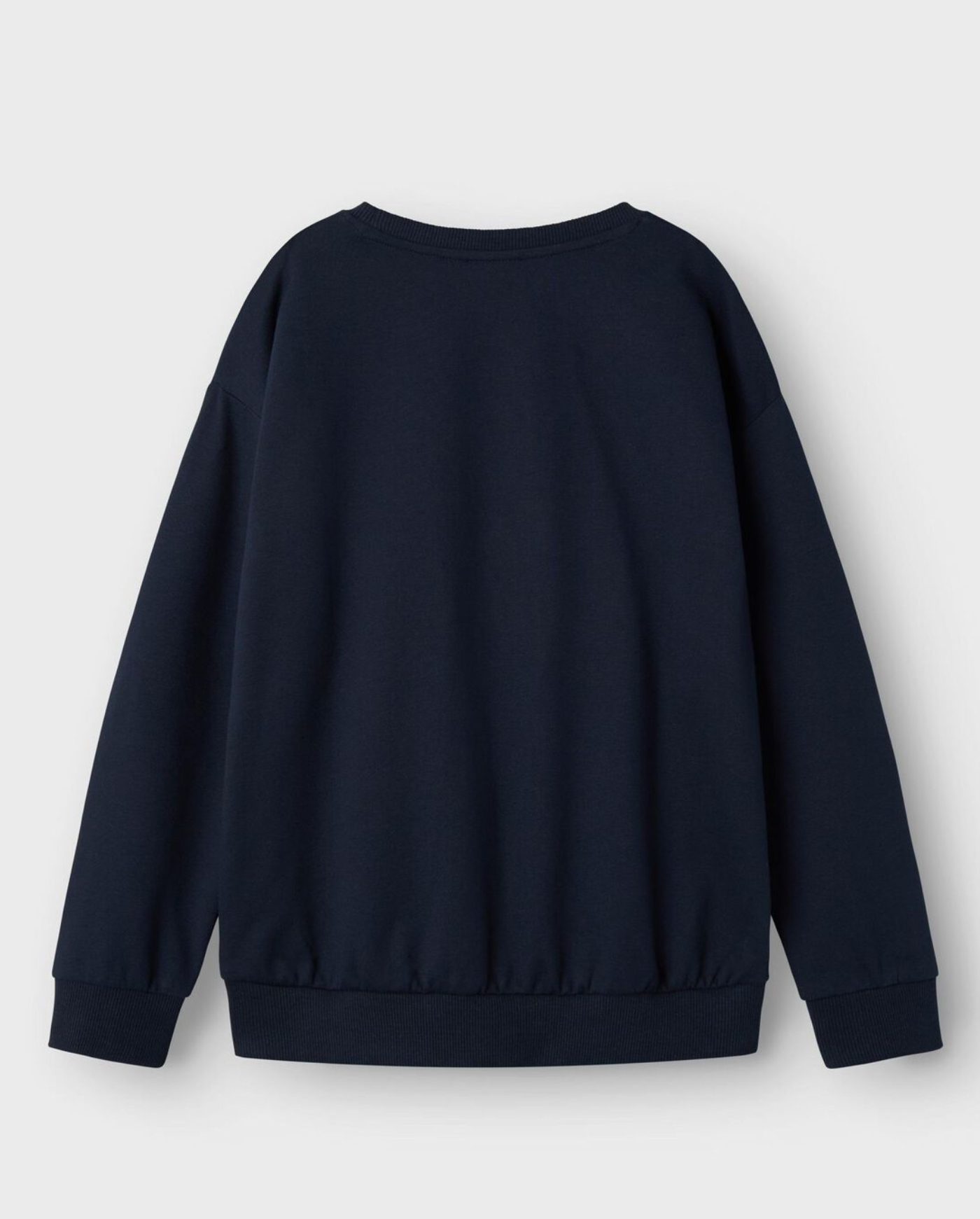 NAME IT NKMDAY POKEMON  NREG SWEAT BRU NOOS SKY