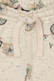 Noppies Boys pants Gassin