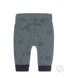 Dirkje boys baby pants dusty green with print N271
