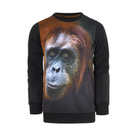 Legends22 sweater Houke