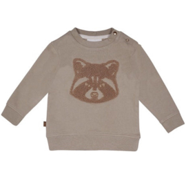 Frogs and Dogs - Raccoon Shirt