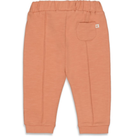 Feetje broek Flamingo 52201966