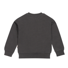 Dirkje sweater 44477