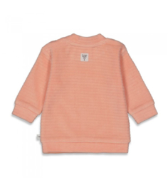 Feetje longsleeve Magic velours 51602028