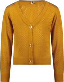 B.Nosy meisjes gebreid vest met knopen Mustard 5330