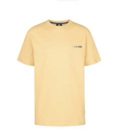 PETROL shirt TSR620