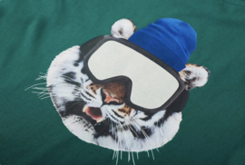 Someone t-shirt - green- longsleeve - Elliot