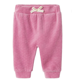 NAME IT NBFNEW VEL PANT