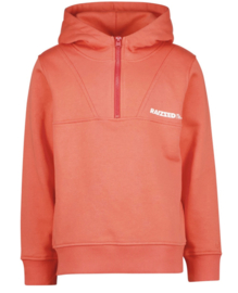 RAIZZED SWEATER WEBB